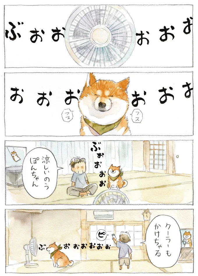 『柴犬ぽんちゃん、今日もわが道を行く3』より