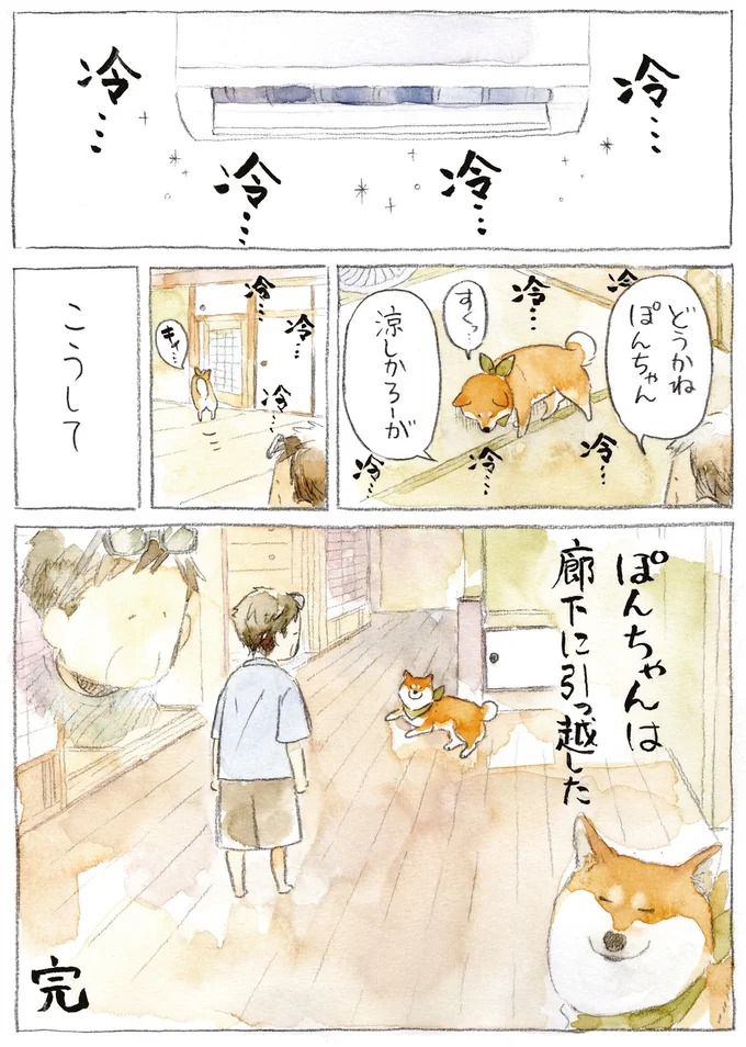 『柴犬ぽんちゃん、今日もわが道を行く3』より