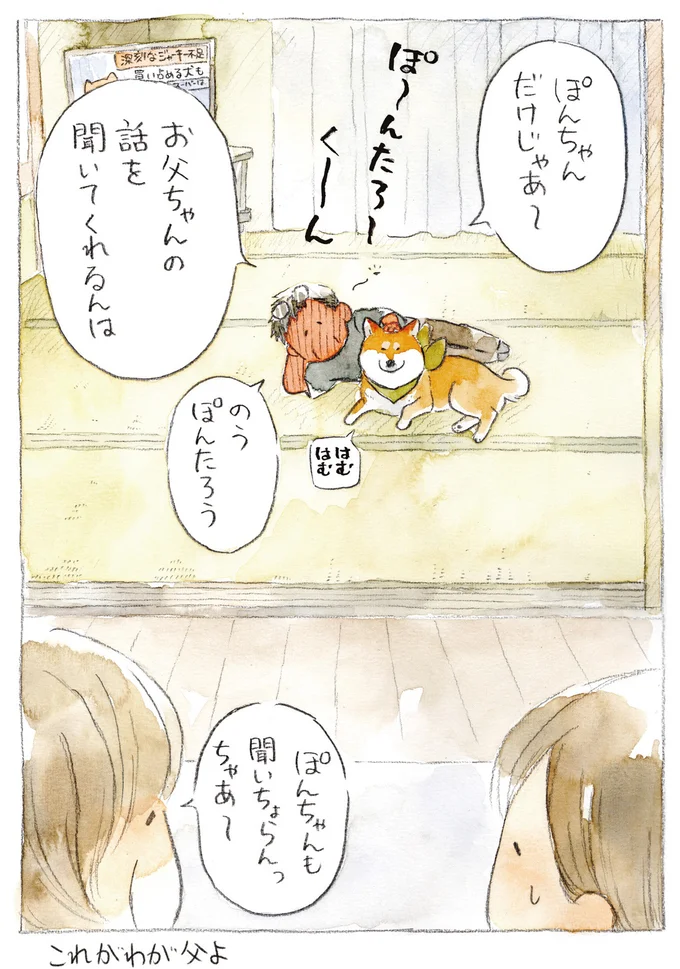 『柴犬ぽんちゃん、今日もわが道を行く3』より