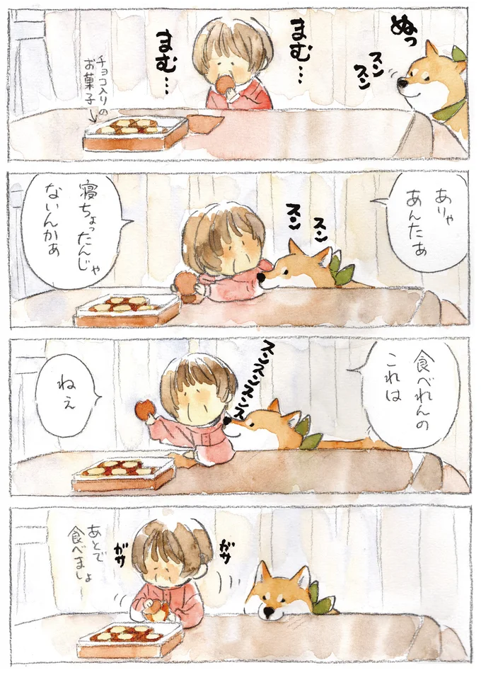 『柴犬ぽんちゃん、今日もわが道を行く3』より