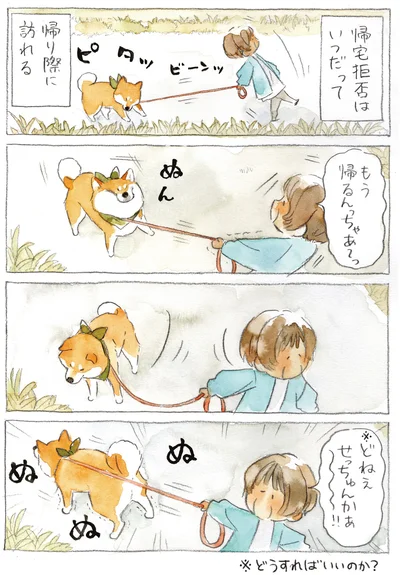 『柴犬ぽんちゃん、今日もわが道を行く3』より