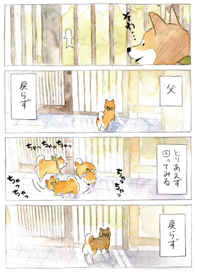 『柴犬ぽんちゃん、今日もわが道を行く3』より