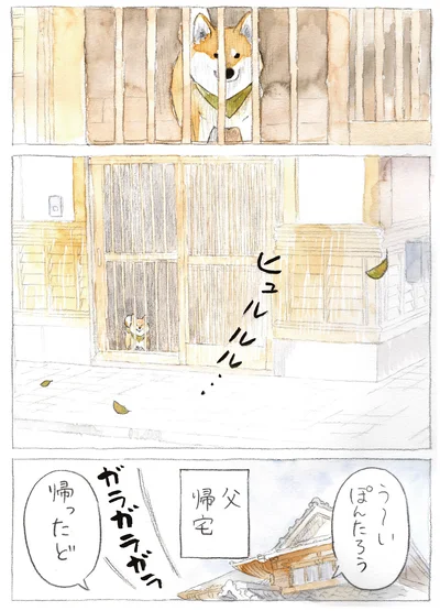 『柴犬ぽんちゃん、今日もわが道を行く3』より