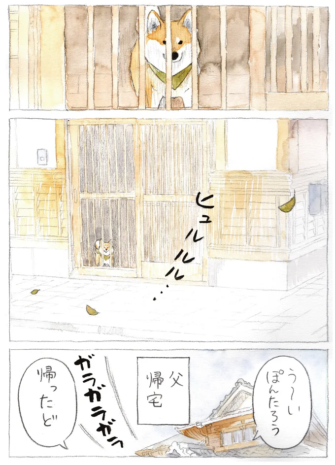『柴犬ぽんちゃん、今日もわが道を行く3』より