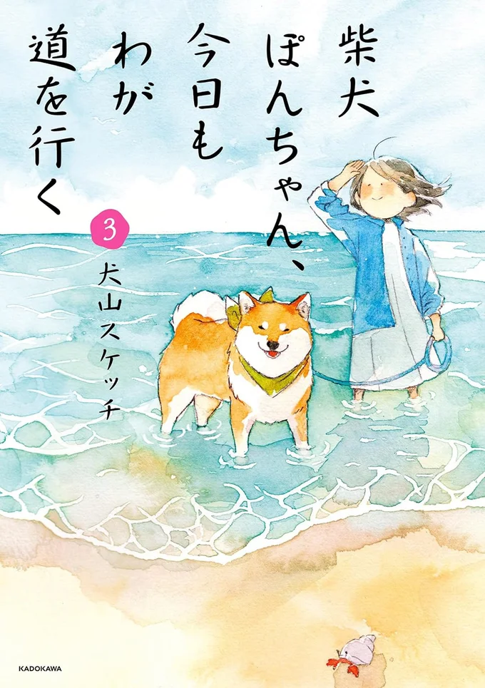 『柴犬ぽんちゃん、今日もわが道を行く3』