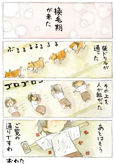柴ドリル