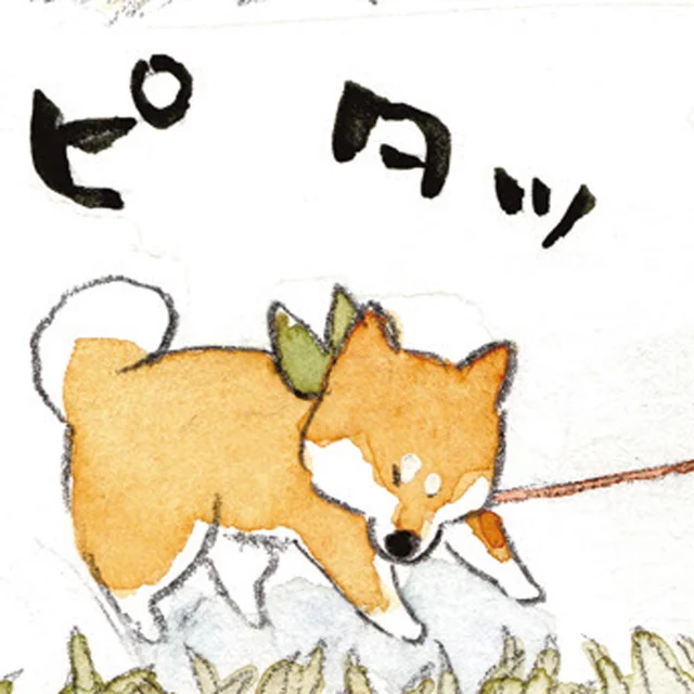 帰宅拒否、発動！帰りたくない柴犬ぽんちゃんVS帰りたい母