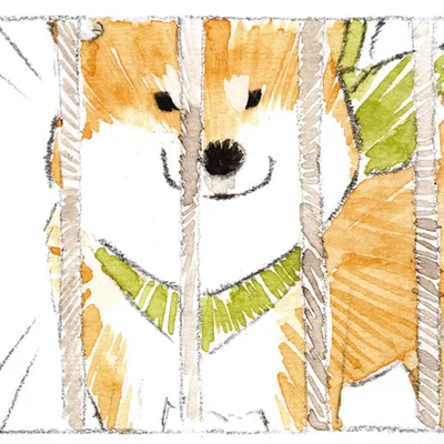 お散歩を期待！