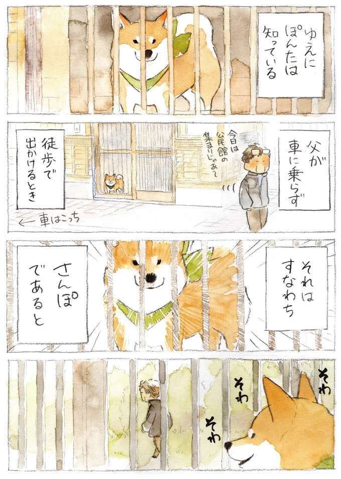 ぽんたは知っている