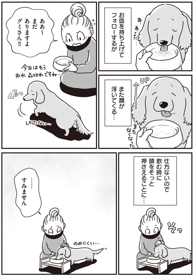 『何度でも言うね、大好きだよ 愛犬グミと銀次郎と過ごした日々』より