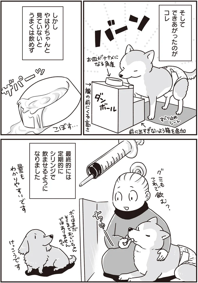 『何度でも言うね、大好きだよ 愛犬グミと銀次郎と過ごした日々』より