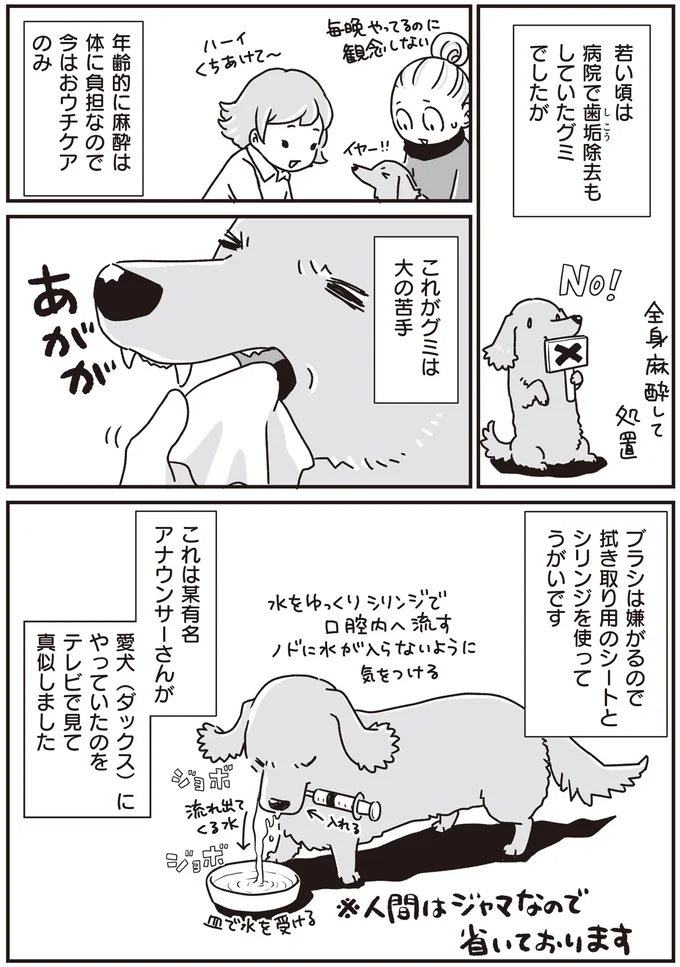 『何度でも言うね、大好きだよ 愛犬グミと銀次郎と過ごした日々』より