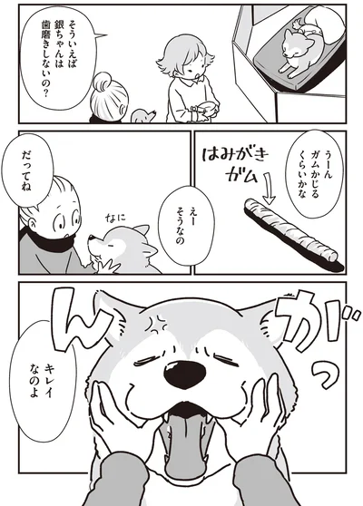 『何度でも言うね、大好きだよ 愛犬グミと銀次郎と過ごした日々』より