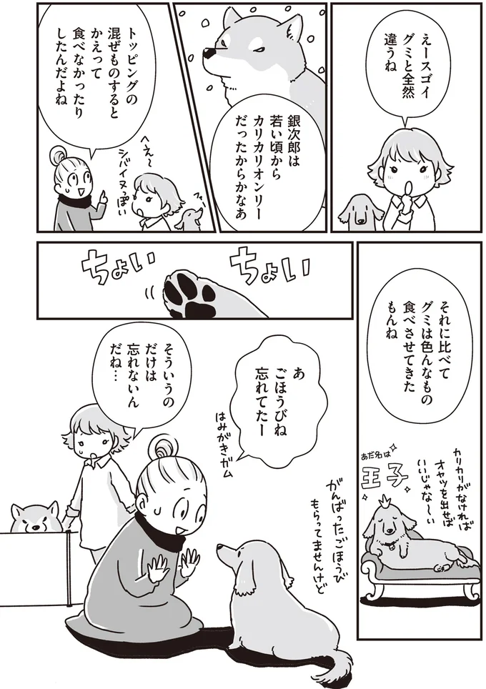 『何度でも言うね、大好きだよ 愛犬グミと銀次郎と過ごした日々』より