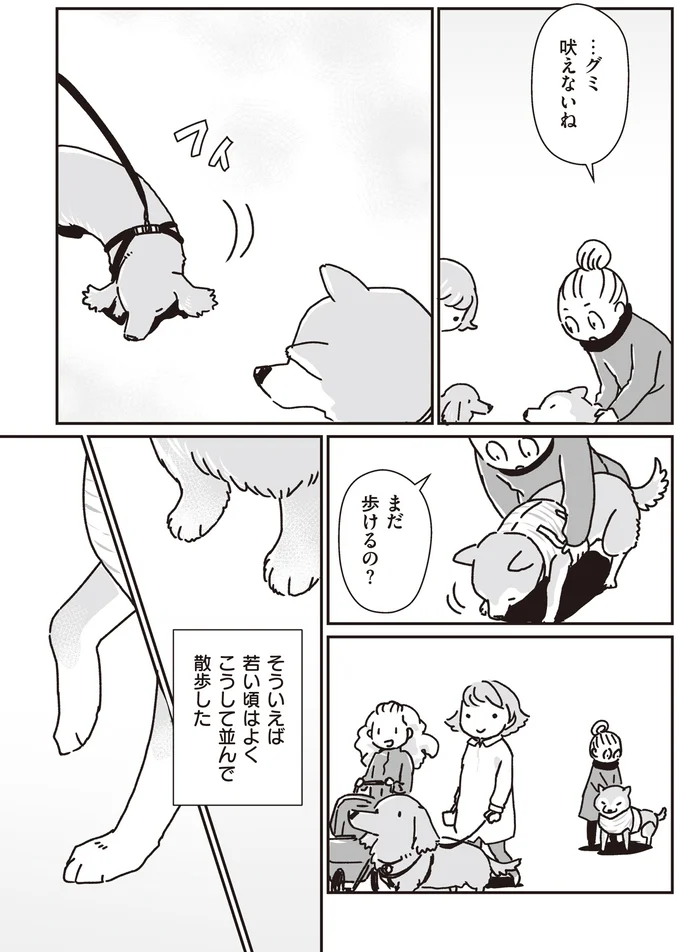 『何度でも言うね、大好きだよ 愛犬グミと銀次郎と過ごした日々』より