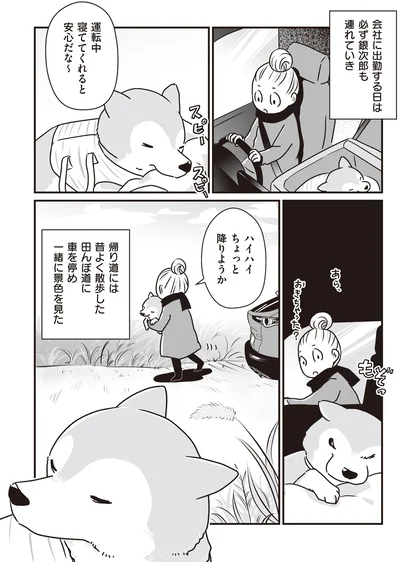 『何度でも言うね、大好きだよ 愛犬グミと銀次郎と過ごした日々』より