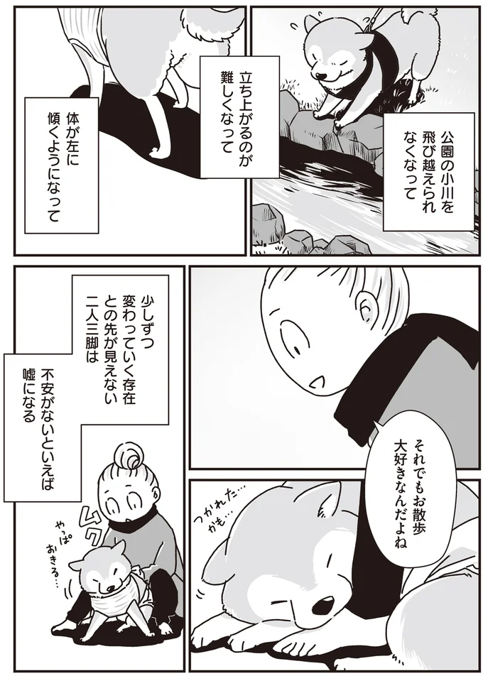 『何度でも言うね、大好きだよ 愛犬グミと銀次郎と過ごした日々』より