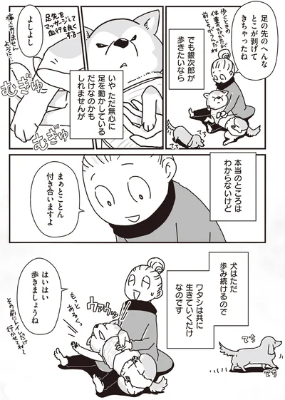 『何度でも言うね、大好きだよ 愛犬グミと銀次郎と過ごした日々』より