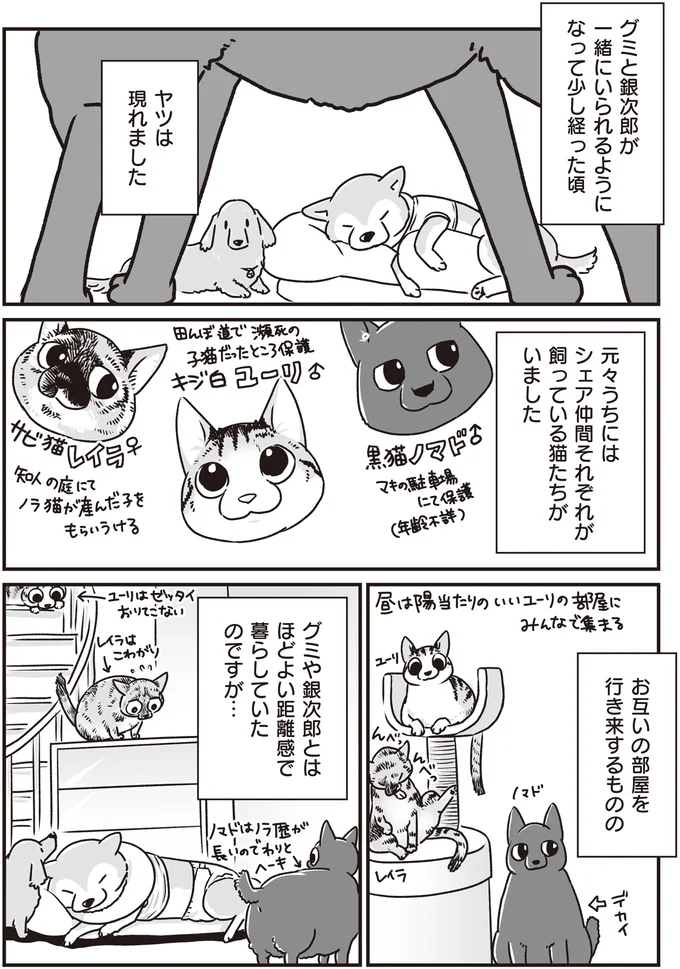 『何度でも言うね、大好きだよ 愛犬グミと銀次郎と過ごした日々』より