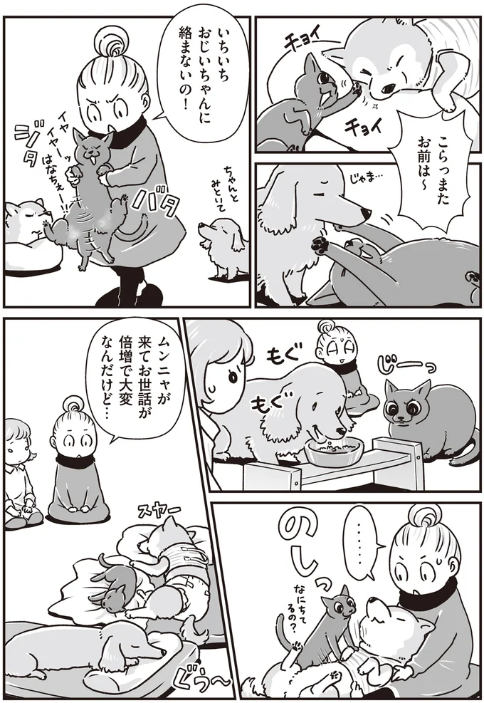 『何度でも言うね、大好きだよ 愛犬グミと銀次郎と過ごした日々』より