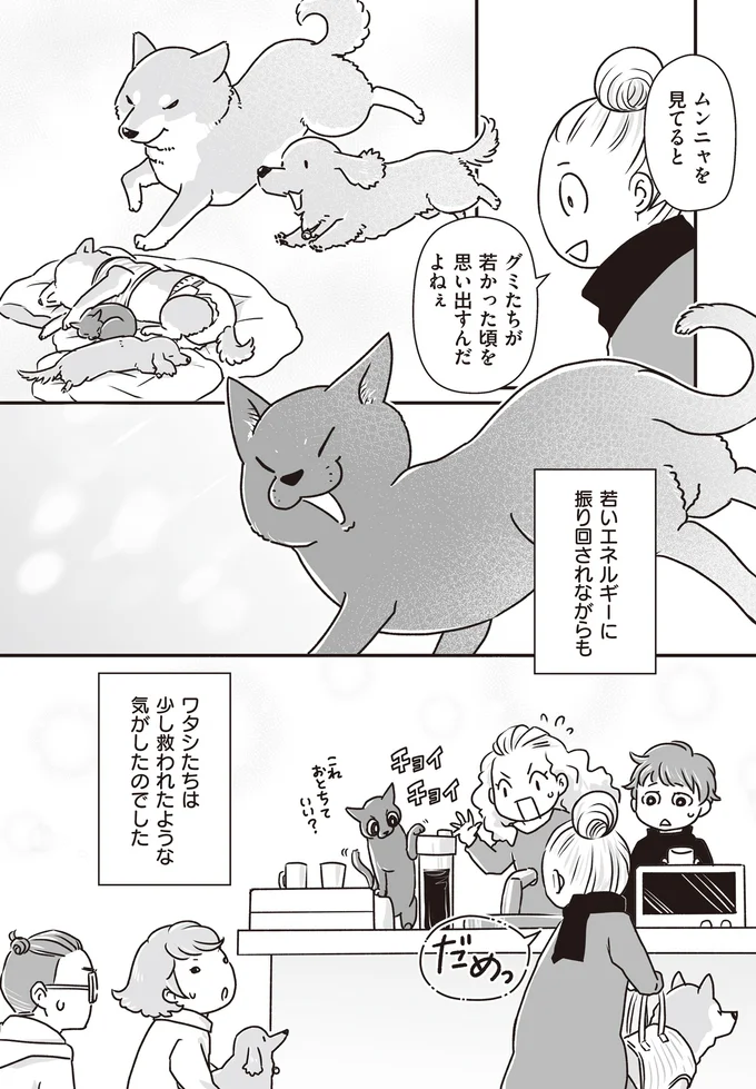 『何度でも言うね、大好きだよ 愛犬グミと銀次郎と過ごした日々』より