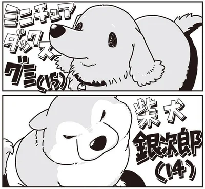 シニアになって久しぶりの再会