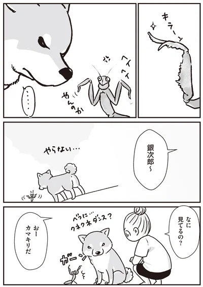 80