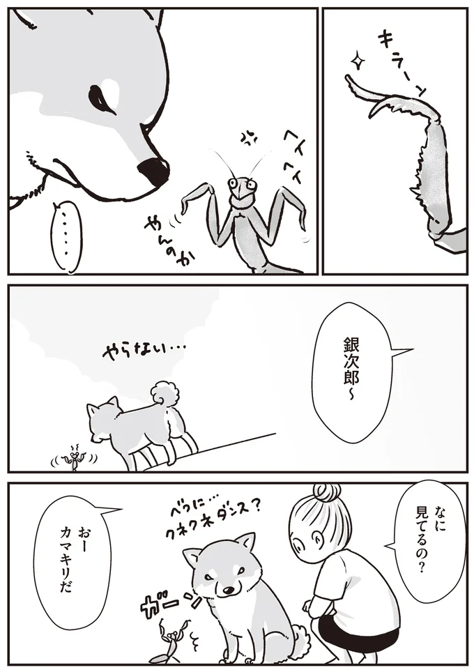 80