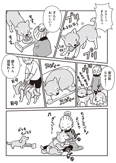 81