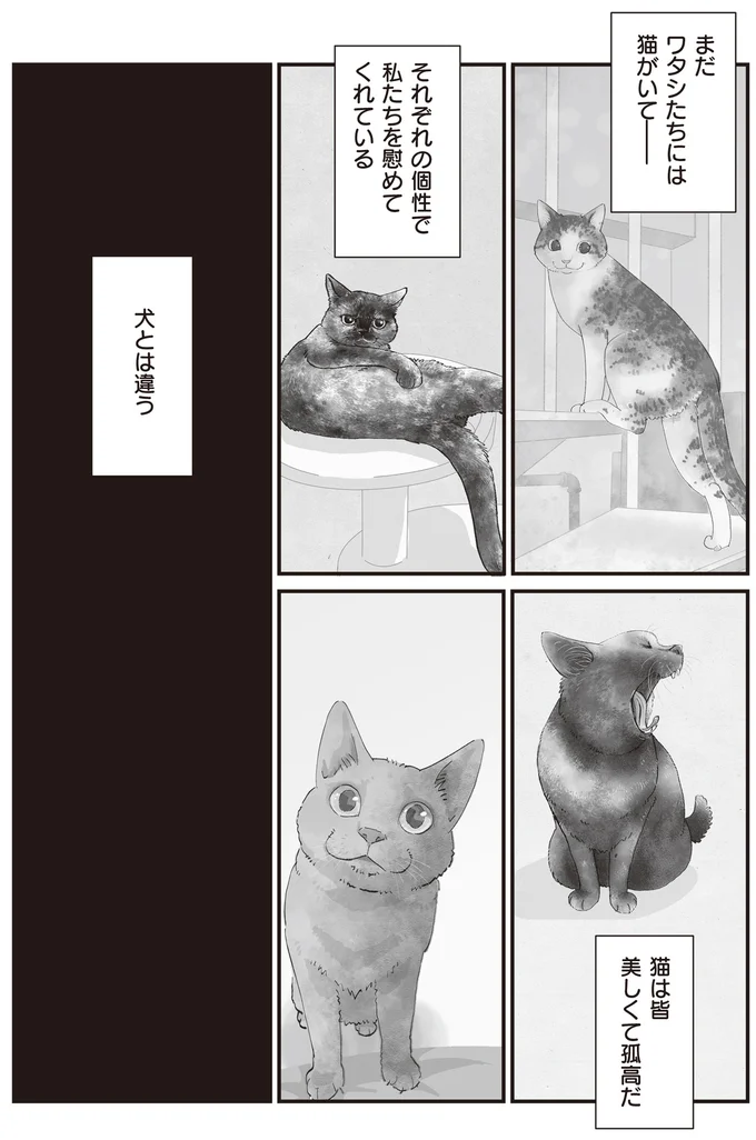 161