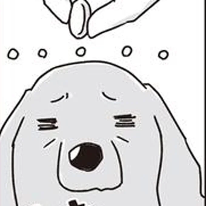 投薬バトル