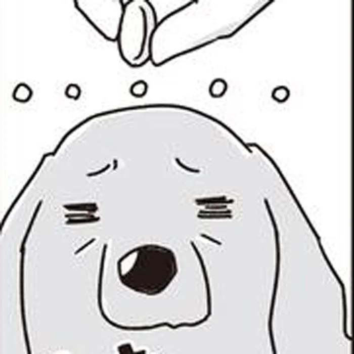 「おいしくないのはいりません！」ミニチュアダックスVS飼い主、生涯続いた投薬バトル