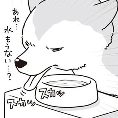水の場所がわからないシニア犬
