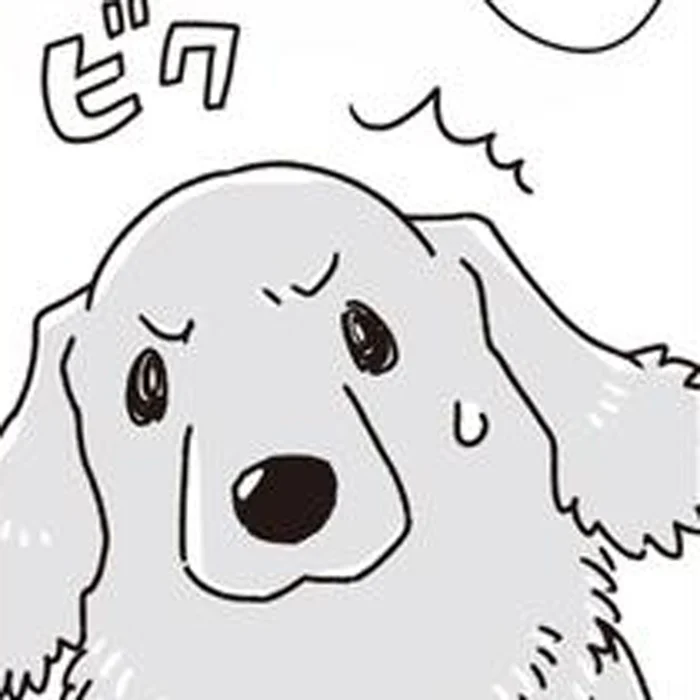 シニアのミニチュアダックス犬、苦手なお口ケアを頑張った後のごほうびだけは忘れない