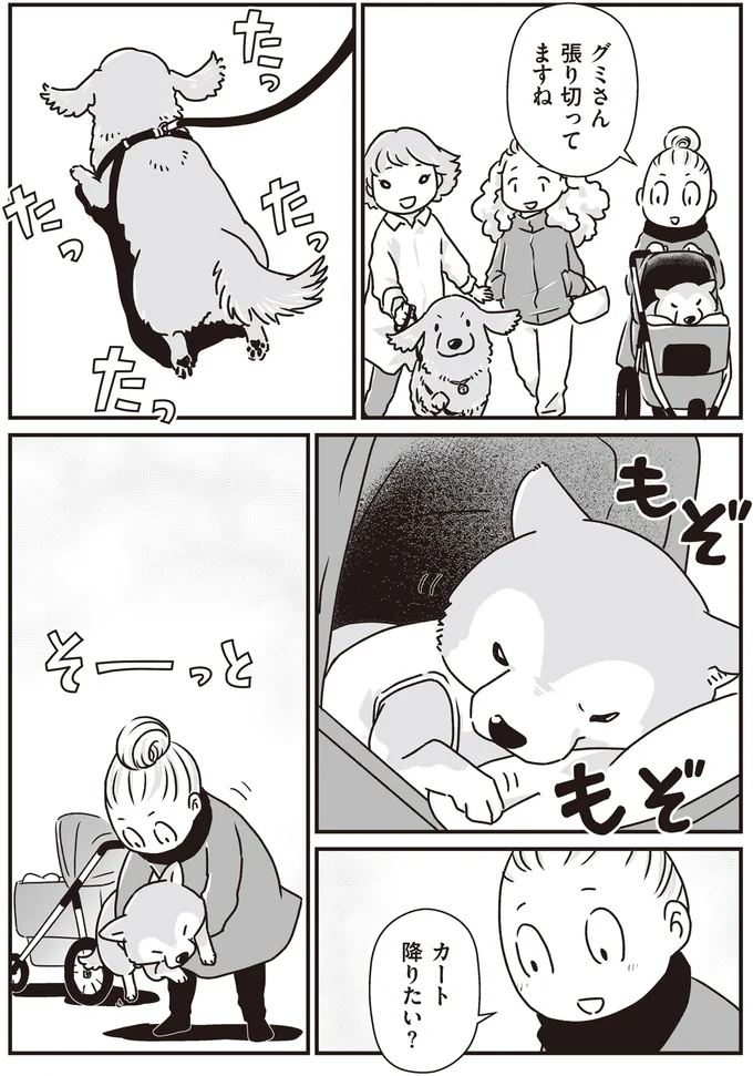 張り切ってますね