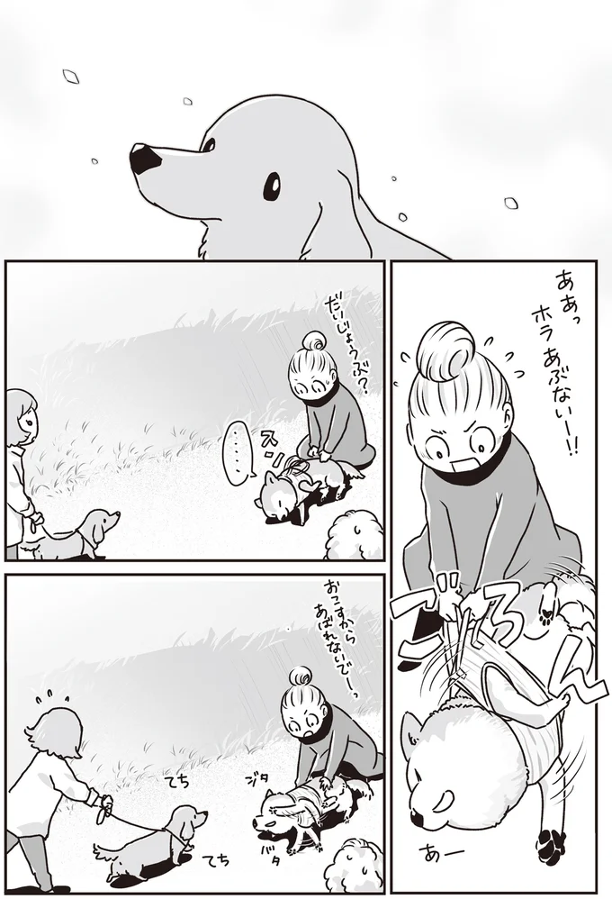 ホラあぶないー!!