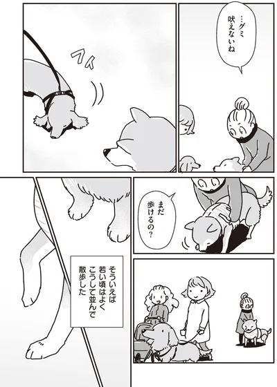 吠えないね