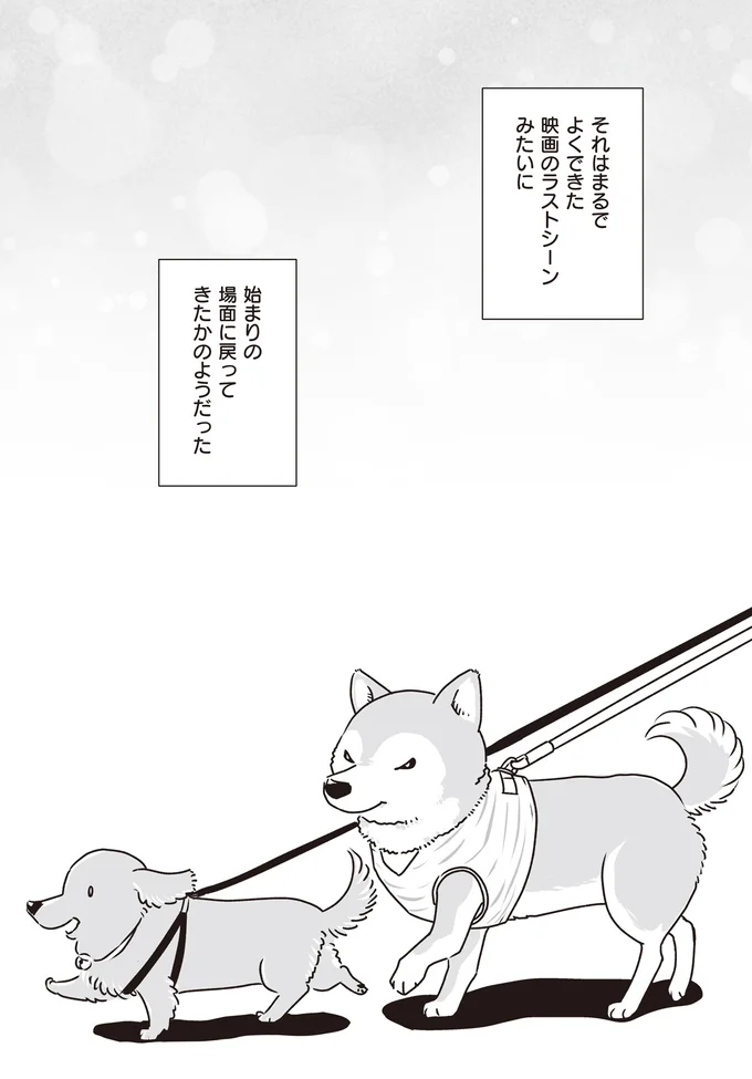 映画のラストシーンみたいに