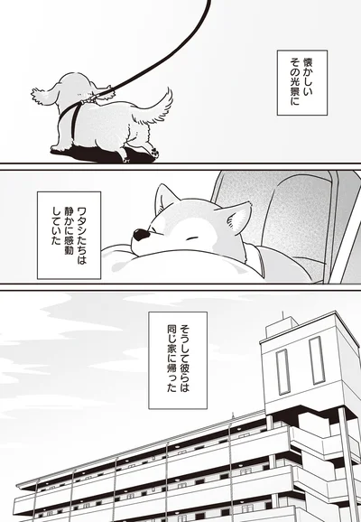 静かに感動していた