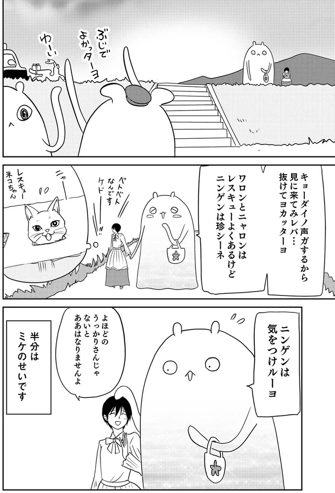 気をつけルーヨ