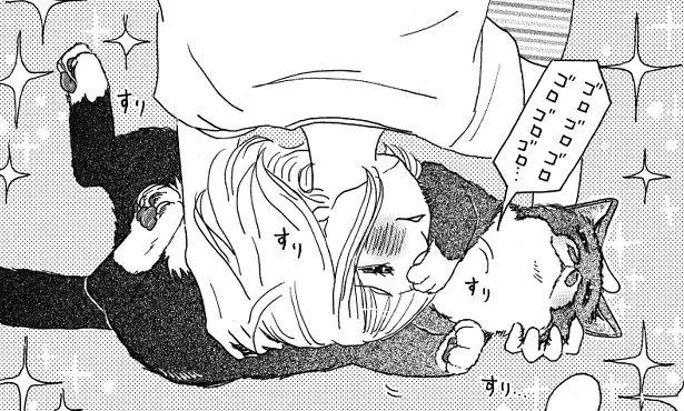 ハイパーわしゃわしゃタイム！ 誘われたら撫でるしかない　猫のきもちがわからない(6)【連載】