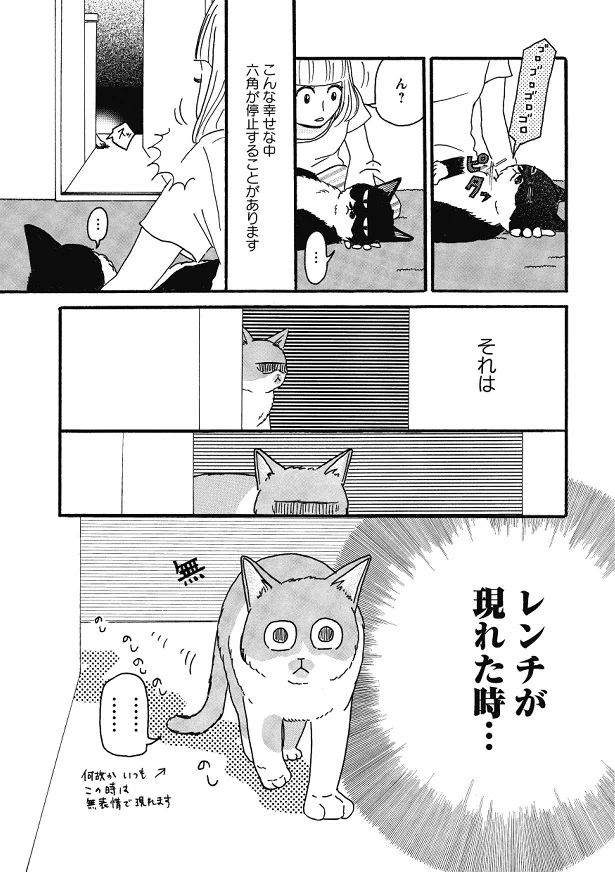 ハイパーわしゃわしゃタイム 誘われたら撫でるしかない 猫のきもちがわからない 6 連載 レタスクラブ ハイパーわしゃわしゃタイム 誘われたら撫でるしかない 猫のきもちがわからない 6 連載 レタスクラブ