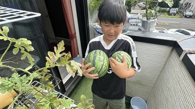 両手に抱えて嬉しそうですね▶お子様のお顔よりも大きなスイカ（⇒次へ）