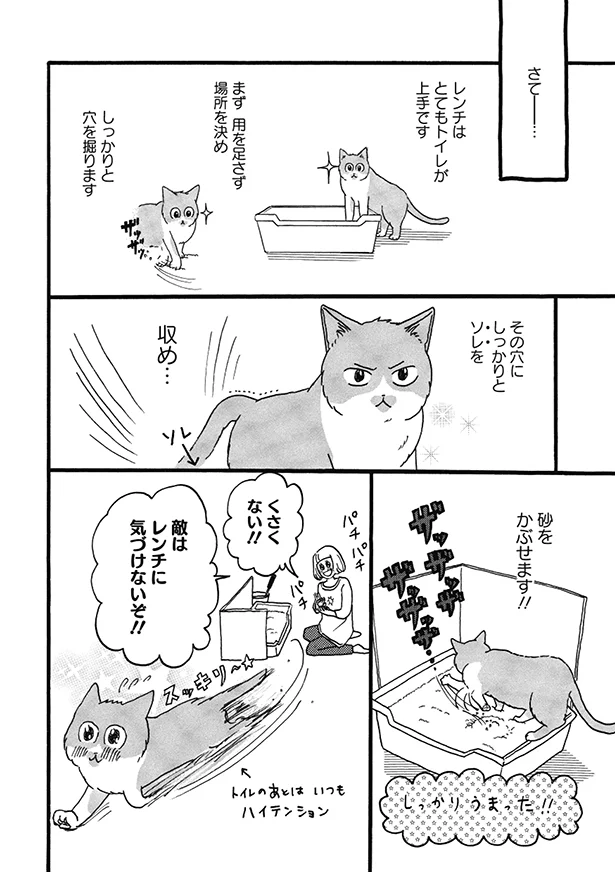 どうしても体を汚したくない 用を足した後の行動 猫のきもちがわからない 7 連載 レタスクラブ どうしても体を汚したくない 用を足した後の行動 猫のきもちがわからない 7 連載 レタスクラブ