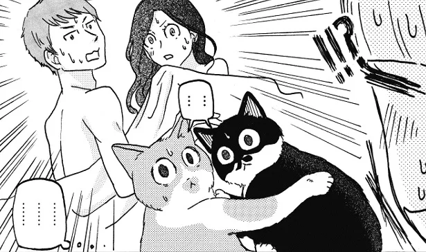 証拠写真をおさえた！ 湯けむり猫事件　猫のきもちがわからない(10)【連載】