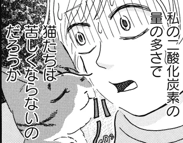 私の二酸化炭素で苦しいのでは!? 思う故の対処法　猫のきもちがわからない(11)【連載】