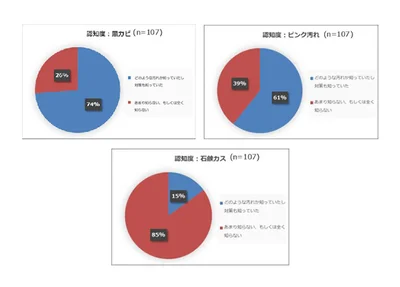 ストレス度No.1の「石鹸カス」。なのに、認知度は一番低かった！