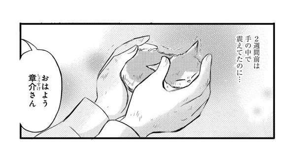 ふわふわの小さな命と暮らし始めて　夫と子猫とほっこり暮らし(1)【連載】