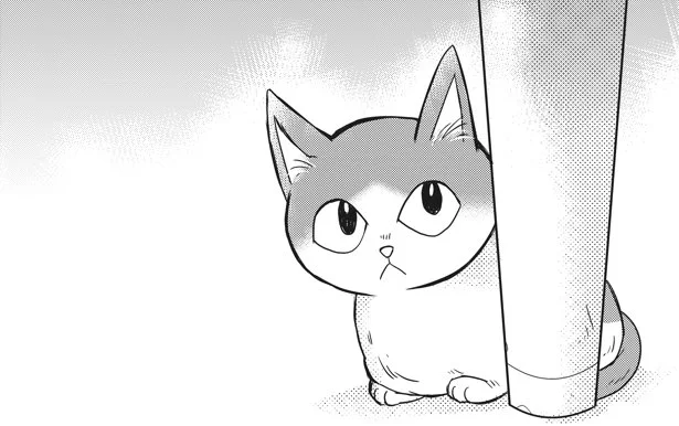 めんどくさいヤツ　夫と子猫とほっこり暮らし(2)【連載】