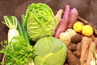 高騰していた野菜の価格に値下がりのきざし！ 9月上旬にオススメの野菜はこちら